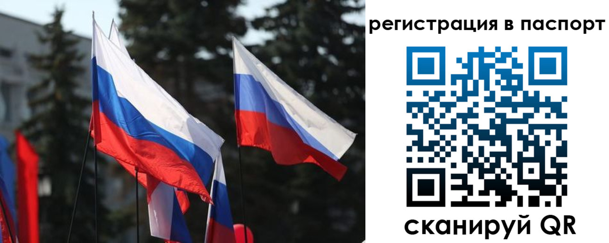 прописка штамп в Лесозаводске